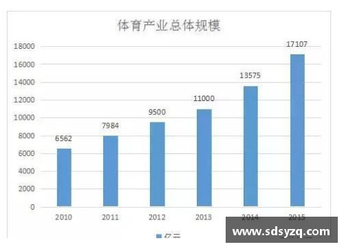 体育明星的定义与标准：从竞技成就到公众形象的全面分析