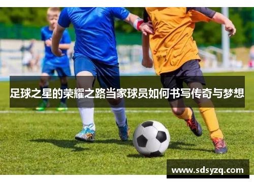 足球之星的荣耀之路当家球员如何书写传奇与梦想