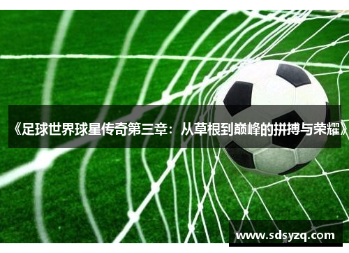 《足球世界球星传奇第三章：从草根到巅峰的拼搏与荣耀》